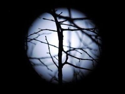 Голубая луна. Редчайшее явление совпало с празднованием Нового года (ФОТО)