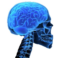 Последствия сотрясения головного мозга