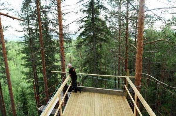 В Швеции открылся отель на дереве (14 фото)