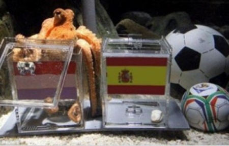 Самый знаменитый футбольный оракул - осьминог Пауль. ФОТО