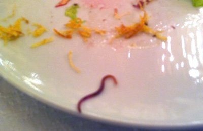 На приеме в Кремле в тарелке нашли червя
