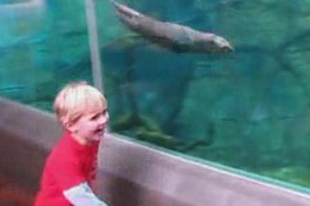  Игра мальчика с выдрой в зоопарке стала хитом в Интернете