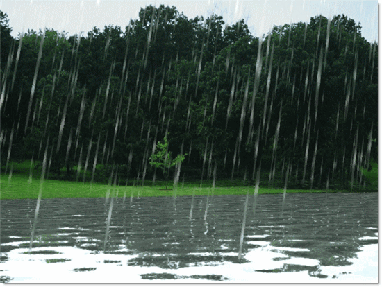 20 удивительных фактов о дожде (интересные факты о дожде).