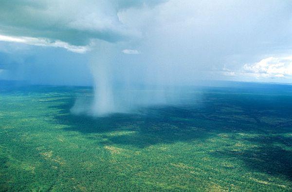 20 удивительных фактов о дожде (интересные факты о дожде).