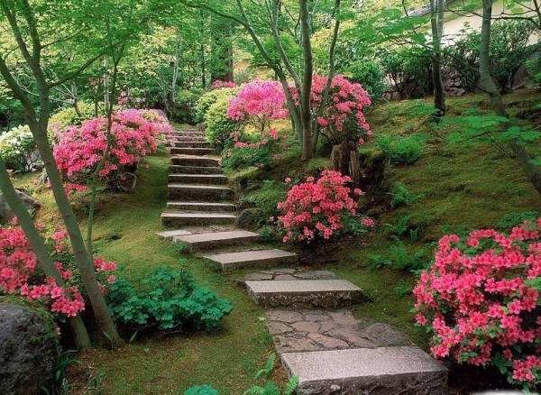 Цветы и сады Японии