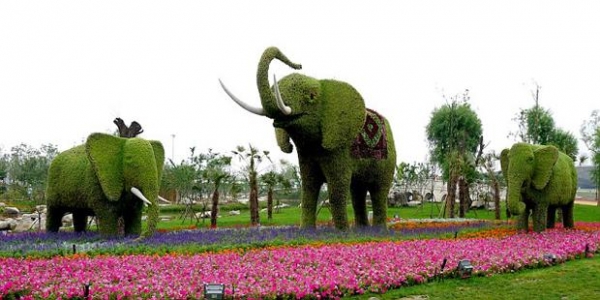 Невероятные животные из цветов в Китае